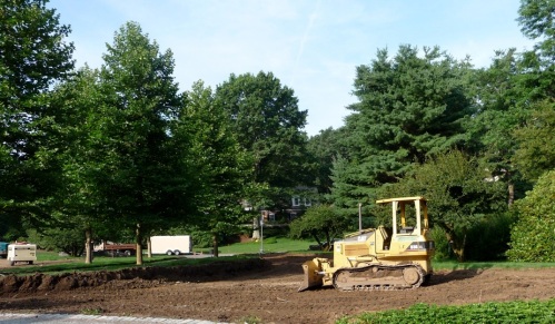 The site before the five London Planes get moved.  The first tree to be excavated and moved is the one furthest from the camera, just to the right of the white trailer.  These trees flanked a driveway; in this photo the driveway asphalt has been taken up and the gravel base has been partially removed.  Trees are located 3-4 feet from the drive edge.